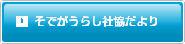 そでがうらし社協だより