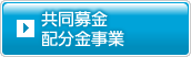 共同募金配分金事業